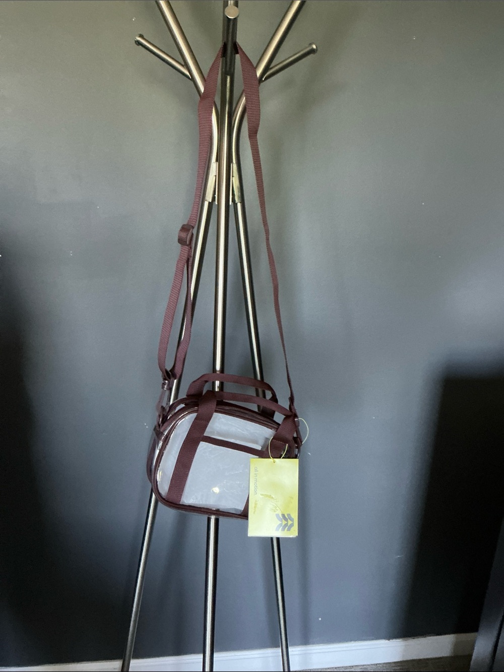 Clear Crossbody Bag with Brown Trim